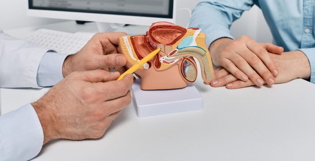 doctor consulting man patient with suspected prost 2025 09 14 15 52 30 utc